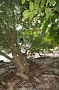 P_2007-12-21 16-05-48_1280